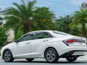 Ninh Binh To Ha Giang By Private Car - Phong Nha Cave Tours