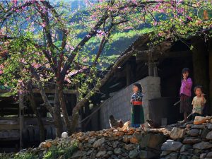 Car From Ninh Binh To Ha Giang - Phong Nha Cave Tours