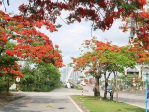 Ninh Binh to Hai Phong By Car - Phong Nha Cave Tours
