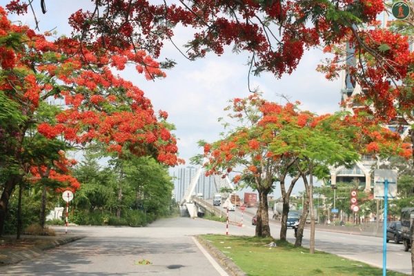 Ninh Binh to Hai Phong By Car - Phong Nha Cave Tours
