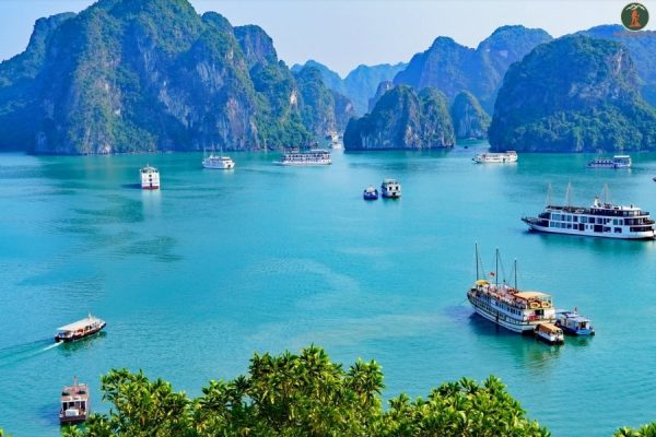 Ninh Binh to Hai Phong By Car - Phong Nha Cave Tours