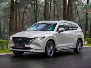 Ninh Binh To Cao Bang Private Car Transfer - Phong Nha Cave Tour