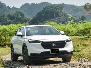 Ninh Binh To Cao Bang By Private Car - Phong Nha Cave Tour