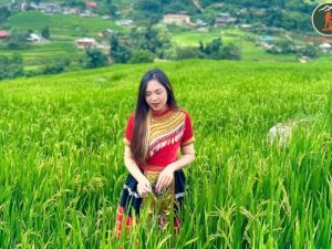 Ninh Binh To Sapa By Car - Phong Nha Cave Tours