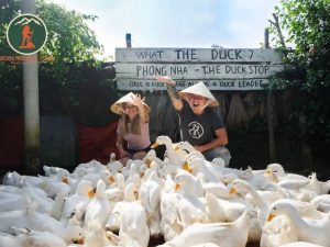 Private car Dong Hoi to Duck Stop Phong Nha - Phong Nha Cave Tour