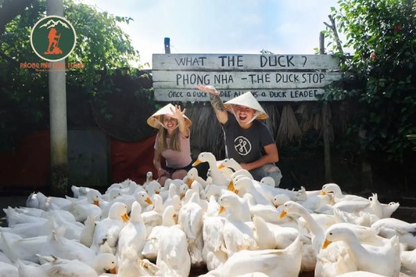 Private car Dong Hoi to Duck Stop Phong Nha - Phong Nha Cave Tour