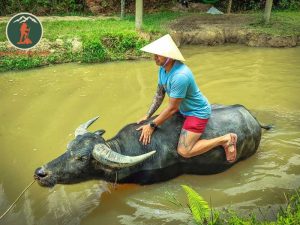 Private car Dong Hoi to Duck Stop Phong Nha - Phong Nha Cave Tour