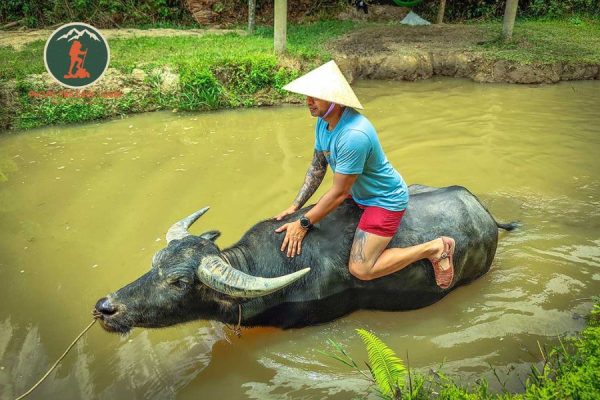 Private car Dong Hoi to Duck Stop Phong Nha - Phong Nha Cave Tour