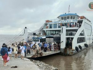 Ninh Binh To Cat Ba Island By Private Car - Phong Nha Cave Tours