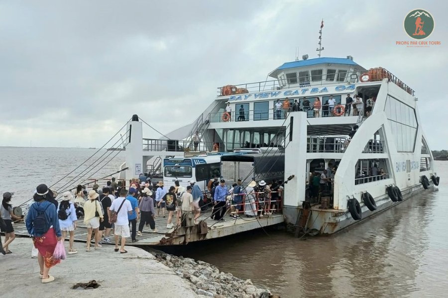 Ninh Binh To Cat Ba Island By Private Car - Phong Nha Cave Tours