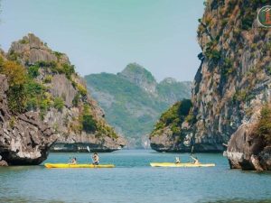 Ninh Binh To Cat Ba Island Private Car - Phong Nha Cave Tours