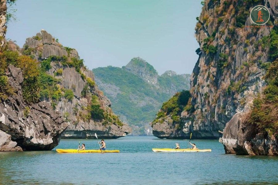 Ninh Binh To Cat Ba Island Private Car - Phong Nha Cave Tours
