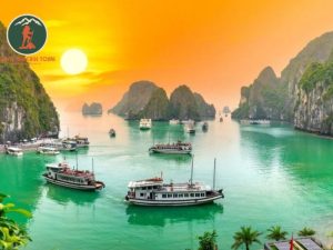 Private Car Ninh Binh to Halong Bay - Phong Nha Cave Tours