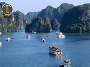 Private Car Ninh Binh to Halong Bay - Phong Nha Cave Tours