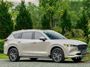 Ninh Binh To Mai Chau Private Car - Phong Nha Cave Tours