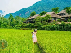 Ninh Binh To Mai Chau Private Car - Phong Nha Cave Tours
