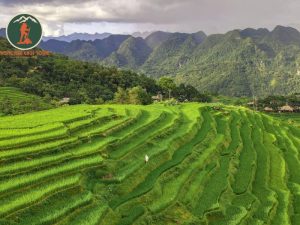 Private car Ninh Binh to Pu Luong - Phong Nha Cave Tours