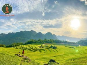 Private car Ninh Binh to Pu Luong - Phong Nha Cave Tours