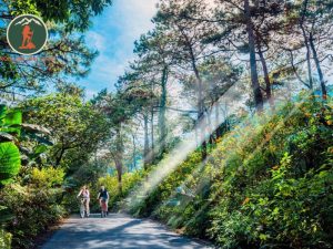 Private car Ninh Binh to Ba Vi National Park Private Car - Phong Nha Cave Tours