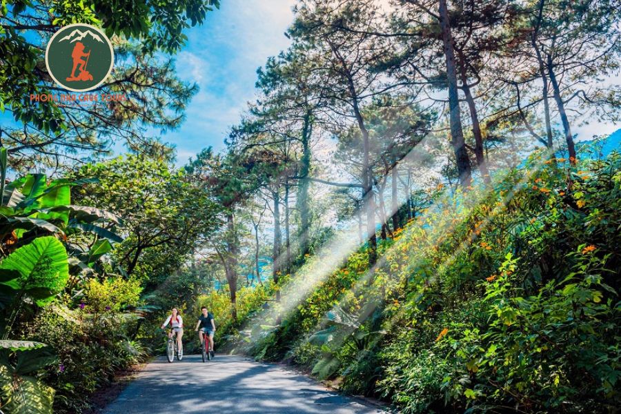 Private car Ninh Binh to Ba Vi National Park Private Car - Phong Nha Cave Tours