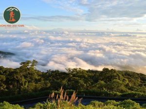 Private car Ninh Binh to Ba Vi National Park Private Car - Phong Nha Cave Tours