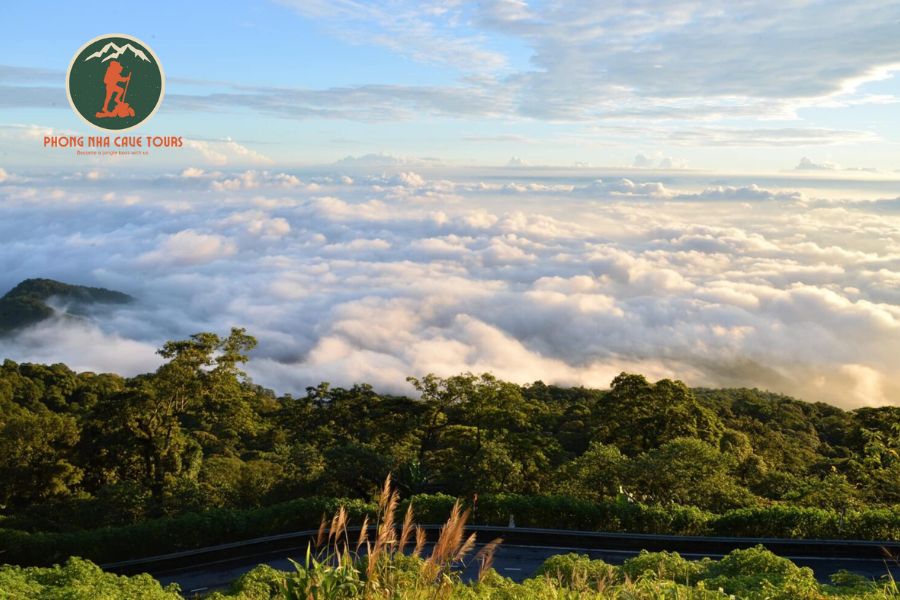 Private car Ninh Binh to Ba Vi National Park Private Car - Phong Nha Cave Tours