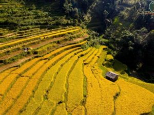 Ninh Binh To Cao Bang Limousine - Phong Nha Cave Tour