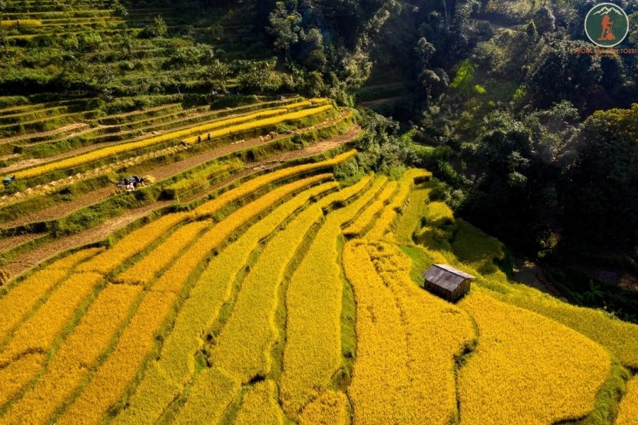 Ninh Binh To Cao Bang Limousine - Phong Nha Cave Tour