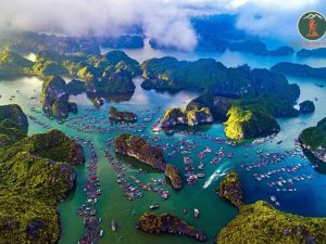 Ninh Binh To Hai Phong Limousine Transfer - Phong Nha Cave Tours