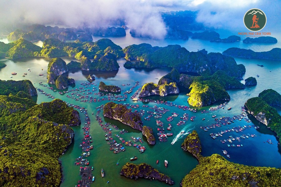 Ninh Binh To Hai Phong Limousine Transfer - Phong Nha Cave Tours