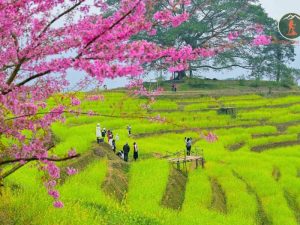 Ninh Binh To Hoa Binh Limousine Transfer - Phong Nha Cave Tours