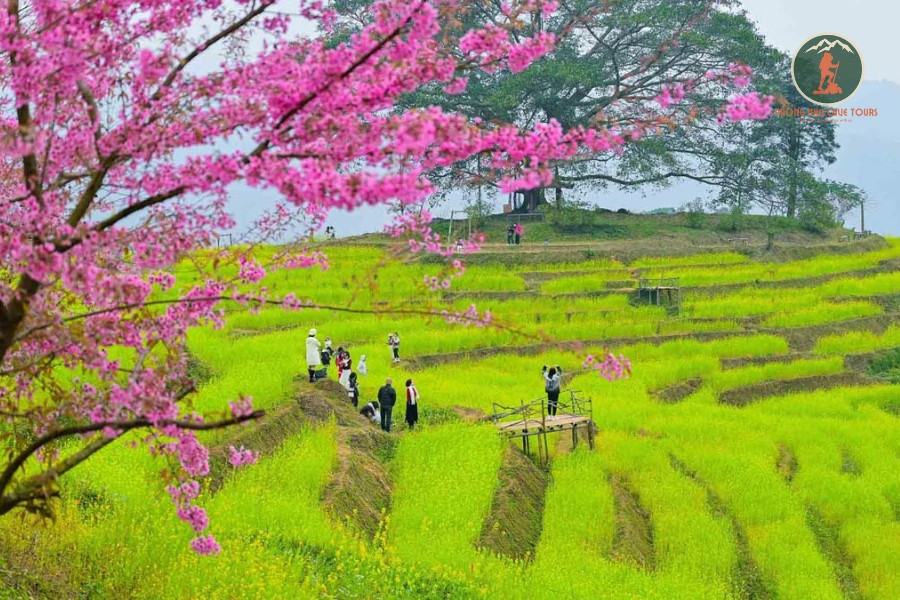 Ninh Binh To Hoa Binh Limousine Transfer - Phong Nha Cave Tours