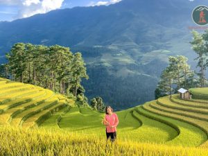 Ninh Binh To Mu Cang Chai Luxury Car - Phong Nha Cave Tours