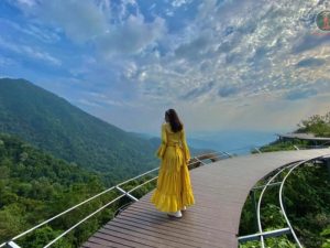 Ninh Binh To Tam Dao By Limousine - Phong Nha Cave Tours