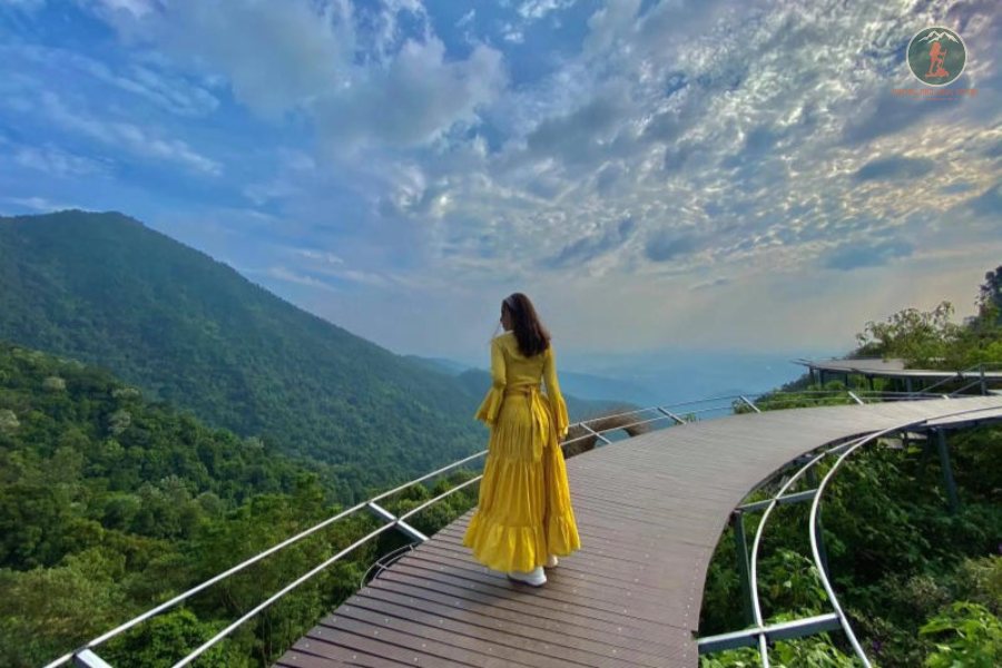 Ninh Binh To Tam Dao By Limousine - Phong Nha Cave Tours