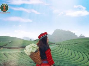 Luxury car Ninh Binh to Mai Chau - Phong Nha Cave Tours