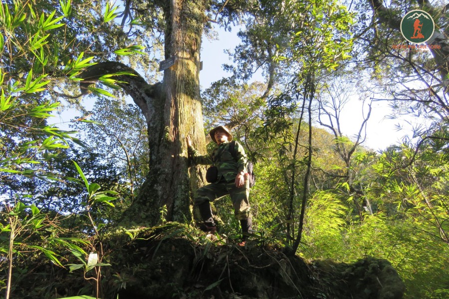 Ninh Binh To Ba Vi National Park Limousine - Phong Nha Cave Tours