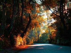 Ninh Binh To Ba Vi National Park Limousine Price - Phong Nha Cave Tours