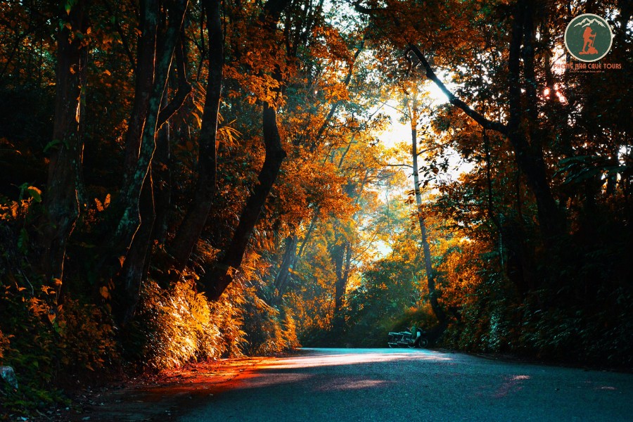 Ninh Binh To Ba Vi National Park Limousine Price - Phong Nha Cave Tours