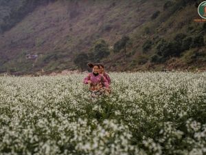 Ninh Binh To Moc Chau By Limousine - Phong Nha Cave Tours