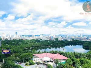 Ninh Binh To Vinh Luxury Car - Phong Nha Cave Tours