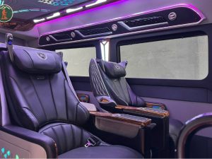 Ninh Binh To Ha Giang Limousine - Phong Nha Cave Tours