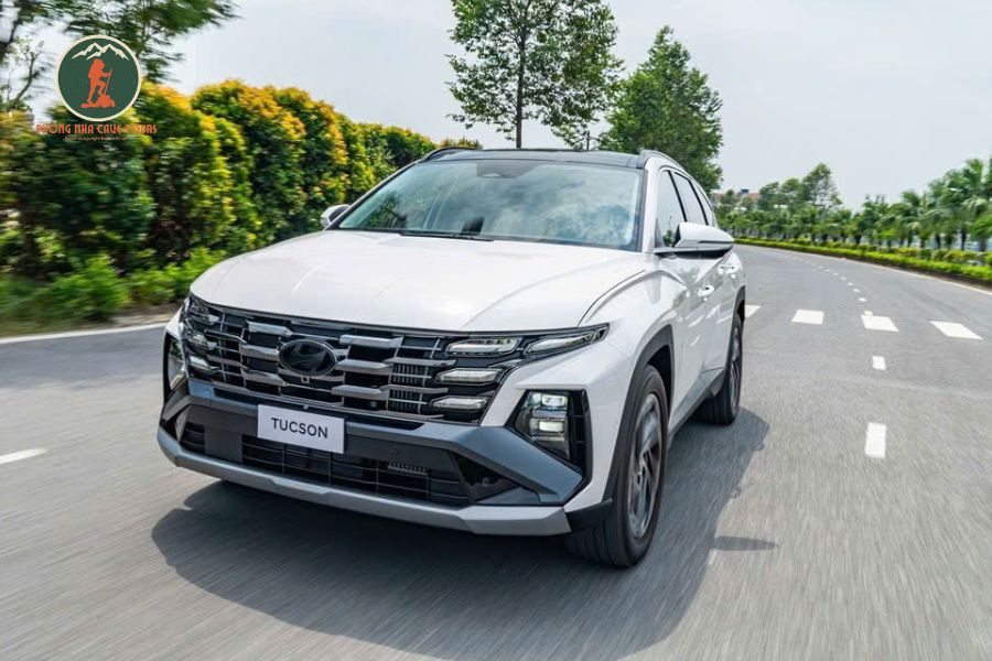 Ninh Binh to Cat Ba Island Luxury Car - Phong Nha Cave Tours